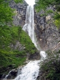 1306739525a.jpg